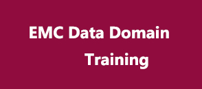 emc-data-domin-training