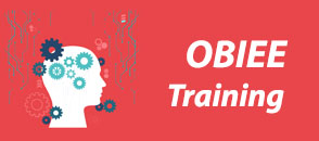 obiee-training