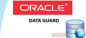 oracle-dataguard-training