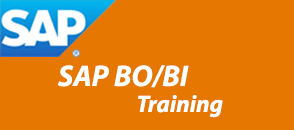 sap-bibo-training