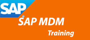 sap-mdm-training