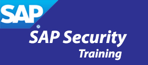 sap-security-training