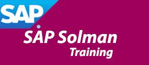 sap-solmon-training
