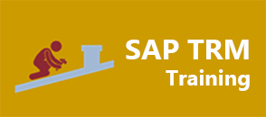 sap-trm-training