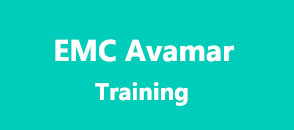emc-avamar-training