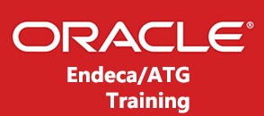 oracle-endeca-training