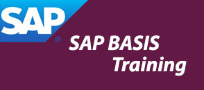 sap-basis-training