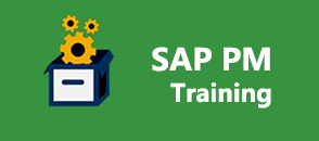 sap-pm-training